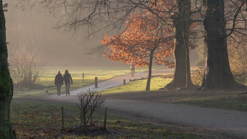 Main Drive, Sheringham Park, Norfolk